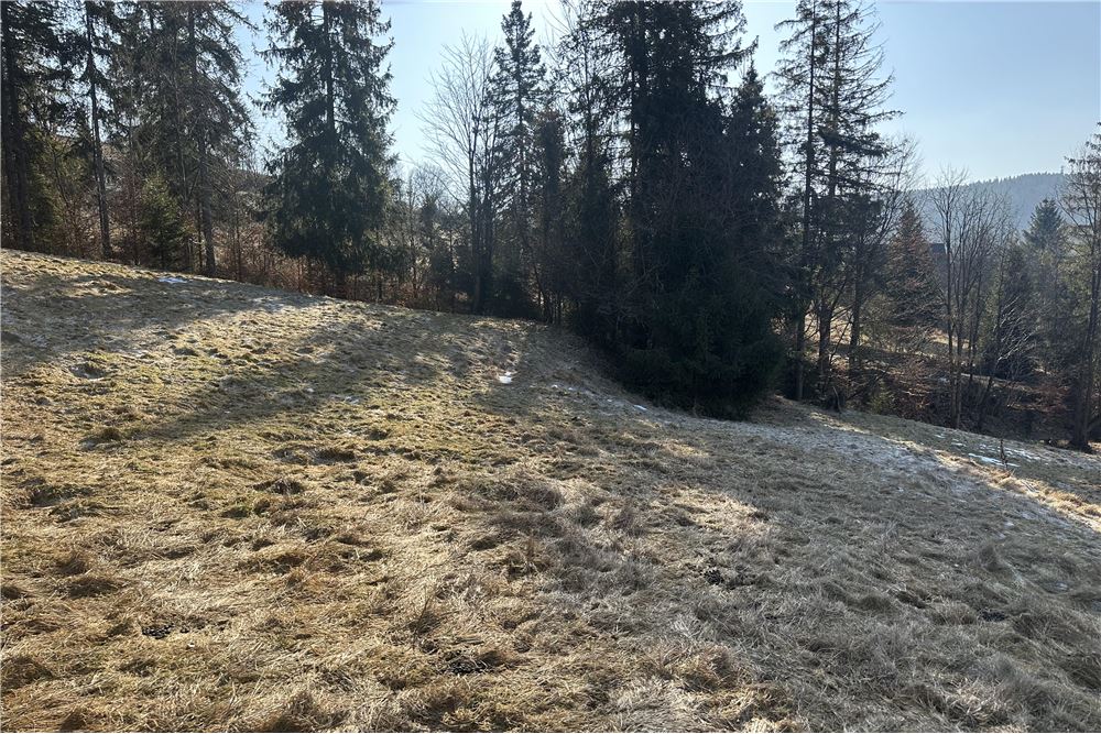 Działka budowlana - Sprzedaż - Sól-Kiczora, Polska - 76 - 800061103-162