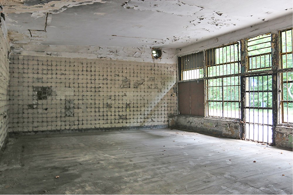 Nieruchomość inwestycyjna - Sprzedaż - Zabrze, Polska - Zabrze Szybowa (14).JPG - 800041074-16