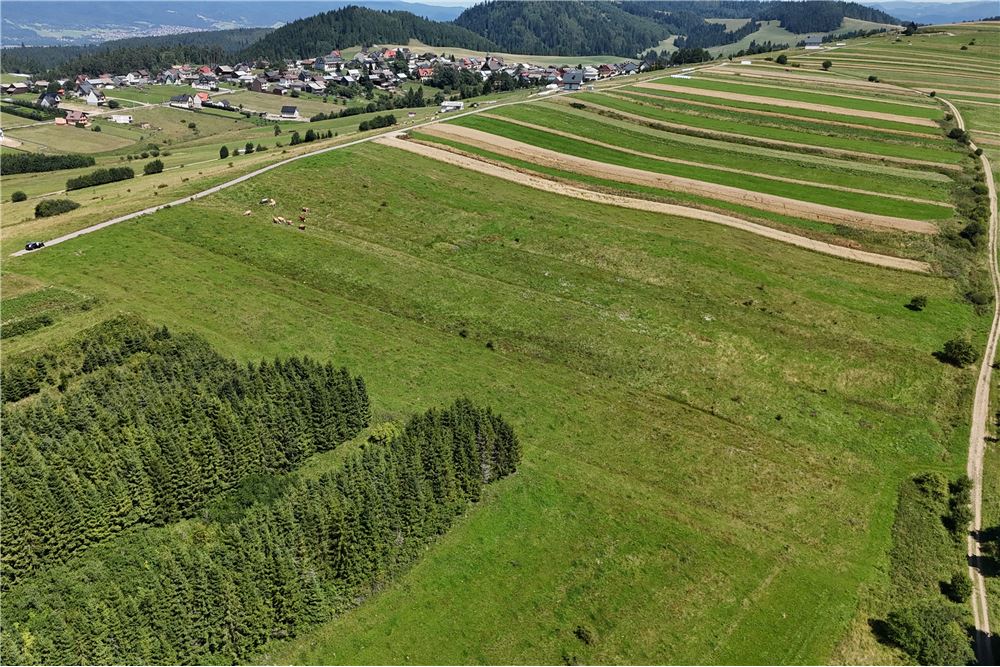 Działka budowlana - Sprzedaż - Dursztyn, Polska - 12 - 800091040-93