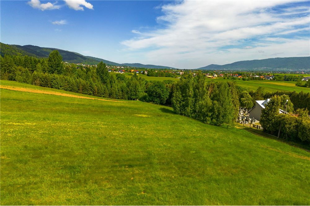 Działka budowlana - Sprzedaż - Lipowa, Polska - 2 - 800061107-97