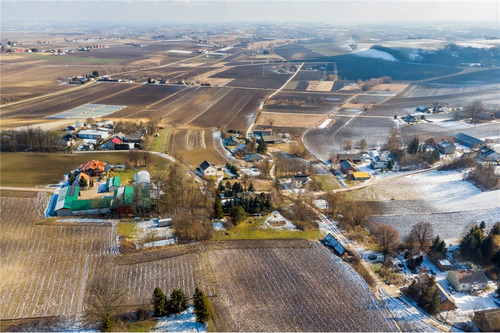 Dom wolnostojący - Sprzedaż - Siedliska-Kolonia, Polska - 10 - 800241032-63