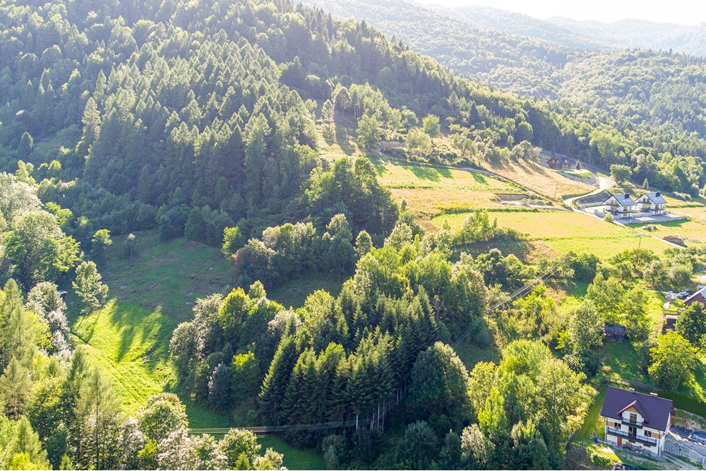 Działka budowlana - Sprzedaż - Tylmanowa, Polska - DJI_0010-2.jpg - 800091057-7