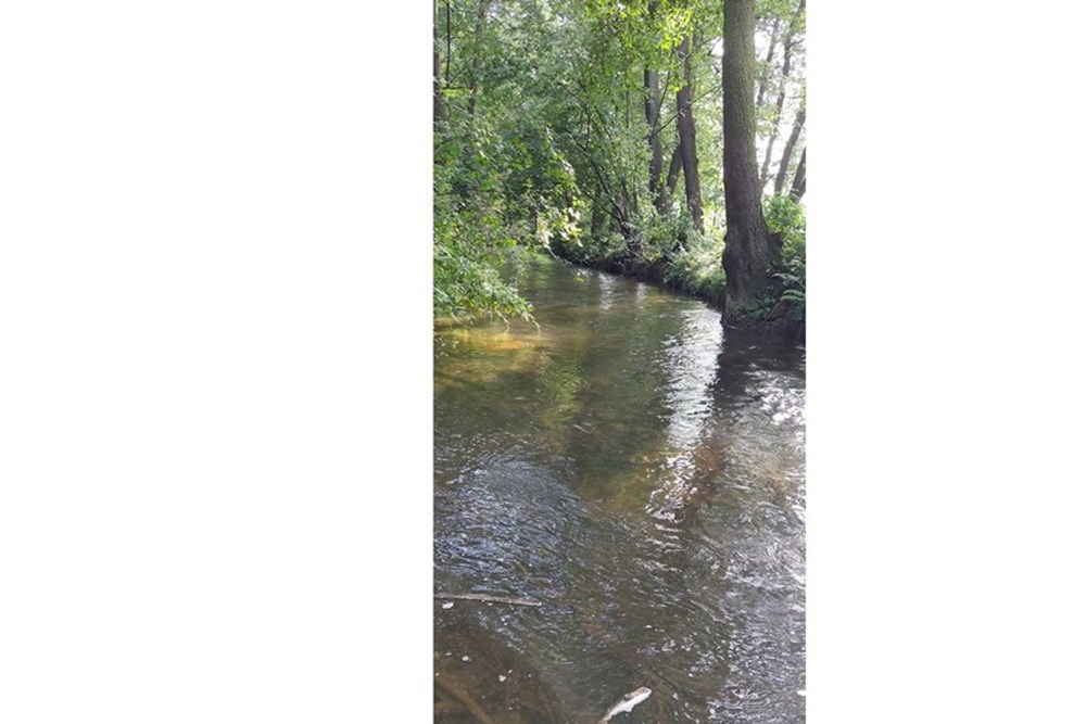 Działka - Sprzedaż - Kęty, Polska - kety5.jpg - 470131109-33