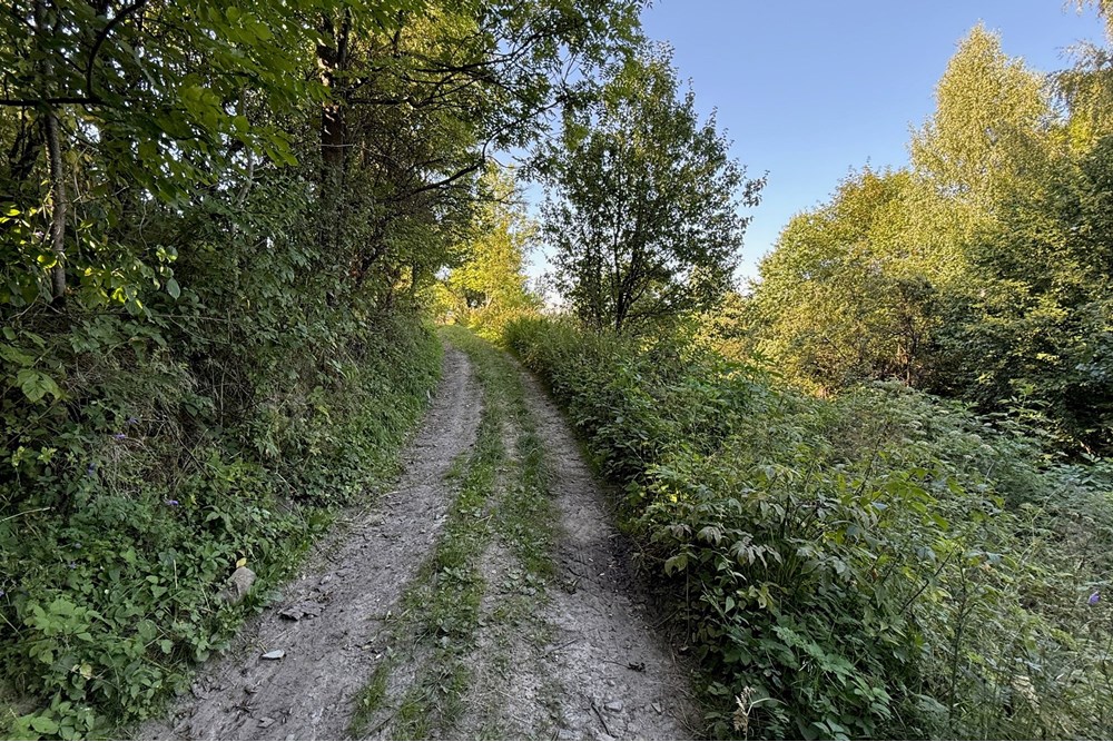 Działka budowlana - Sprzedaż - Tylmanowa, Polska - IMG_0628.jpeg - 800091057-7
