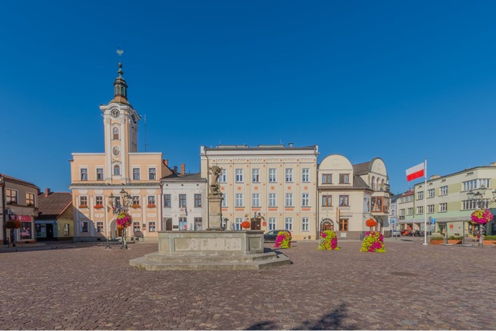 Lokal handlowy/usługowy - Wynajem - Skoczów, Polska - 6.JPG - 470131102-43