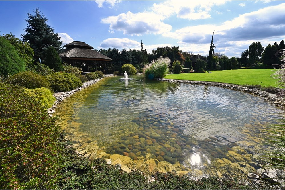 Rezydencja/Willa/Dworek - Sprzedaż - Janowice, Polska - 55.JPG - 470131040-436