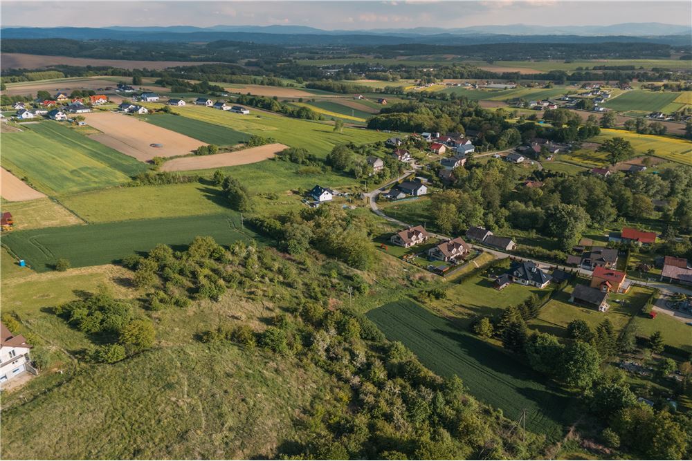 Działka budowlana - Sprzedaż - Biskupice, Polska - 31 - 800241005-202