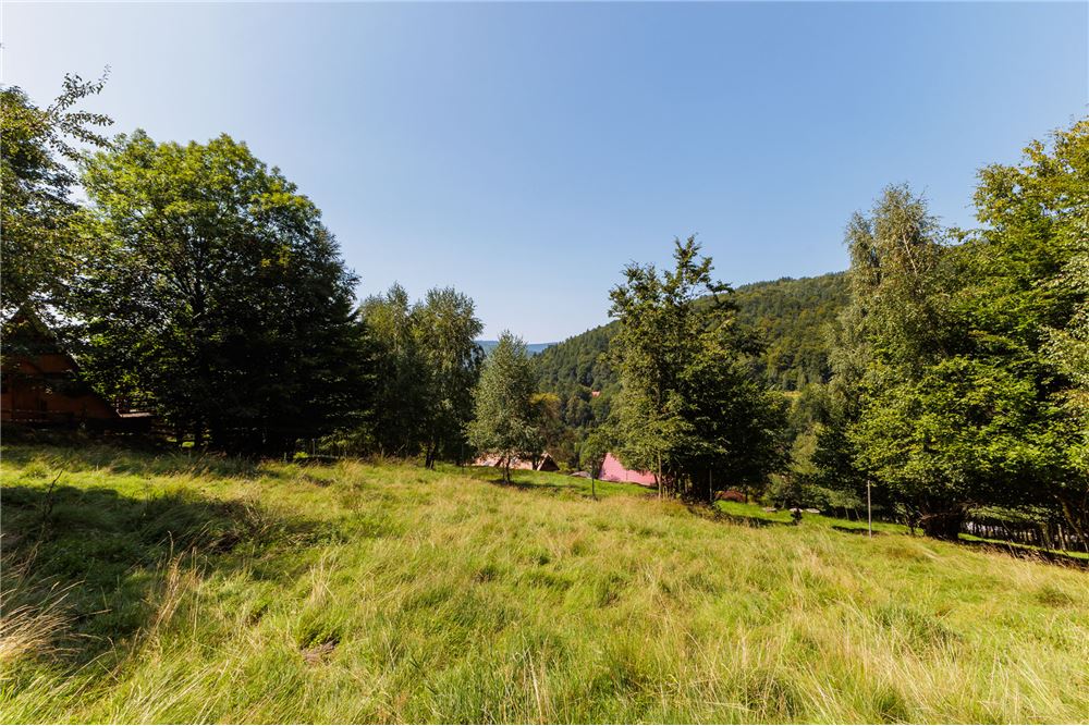 Działka - Sprzedaż - Międzybrodzie Żywieckie, Polska - 8 - 800061107-105