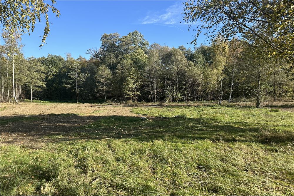 Działka budowlana - Sprzedaż - Jasienica, Polska - 34 - 800061103-173