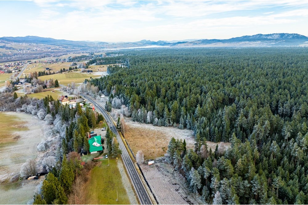 Działka - Sprzedaż - Harklowa, Polska - 20251119-DJI_0834-HDR.jpg - 470151024-463