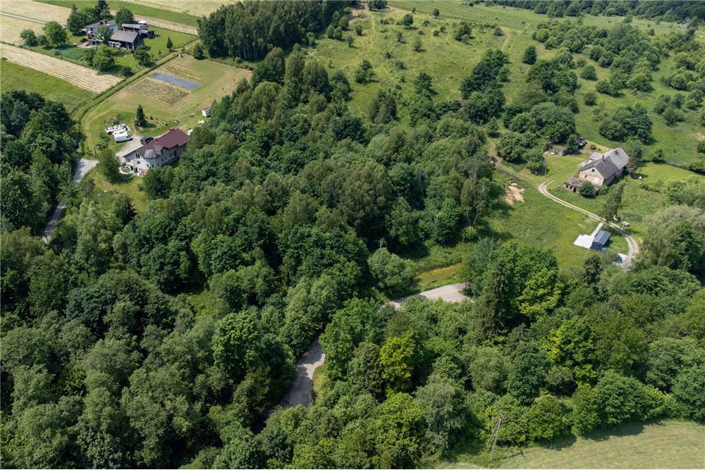 Działka budowlana - Sprzedaż - Rychwałd, Polska - 69 - 800061103-169