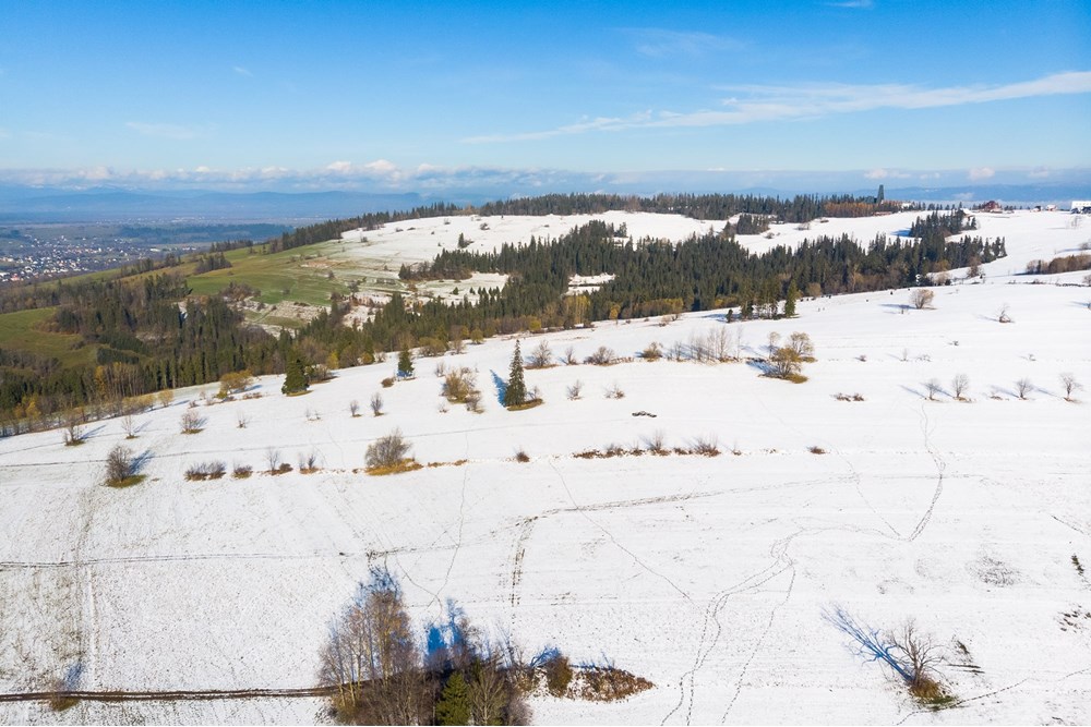 Działka - Sprzedaż - Ratułów, Polska - DJI_0422.jpg - 470151035-149