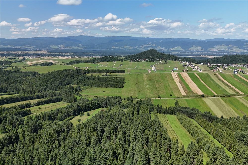 Działka budowlana - Sprzedaż - Dursztyn, Polska - 17 - 800091040-93