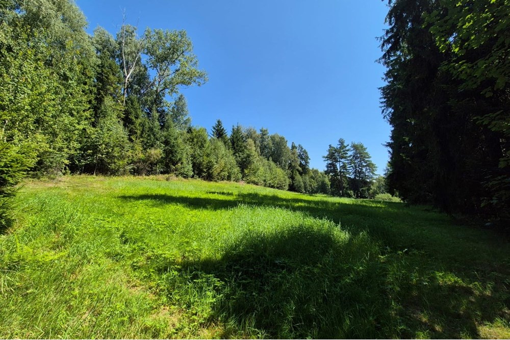 Działka budowlana - Sprzedaż - Naprawa, Polska - biuro nieruchomości (8).jpg - 800091026-80