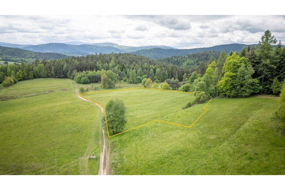 Działka - Sprzedaż - Krzeszów, Polska - Działka 160.000 4.jpg - 470131112-4