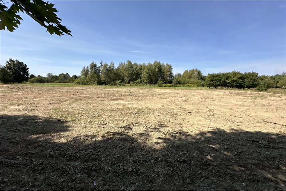 Działka - Sprzedaż - Jankowice, Polska - 30 - 800061103-174