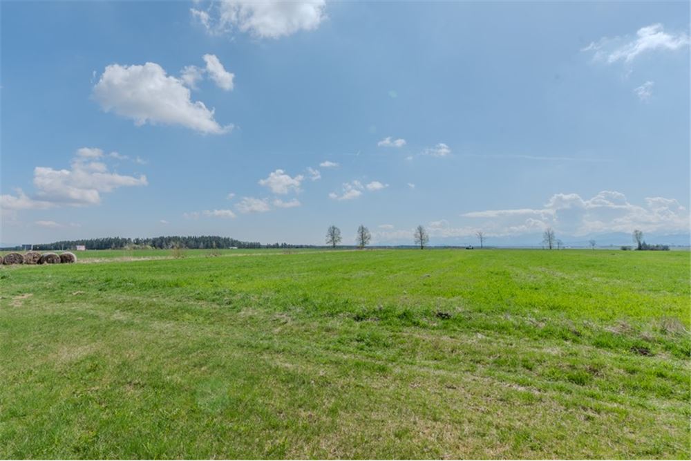 Nieruchomość gruntowa - Sprzedaż - Jabłonka, Polska - 25 - 470131089-56