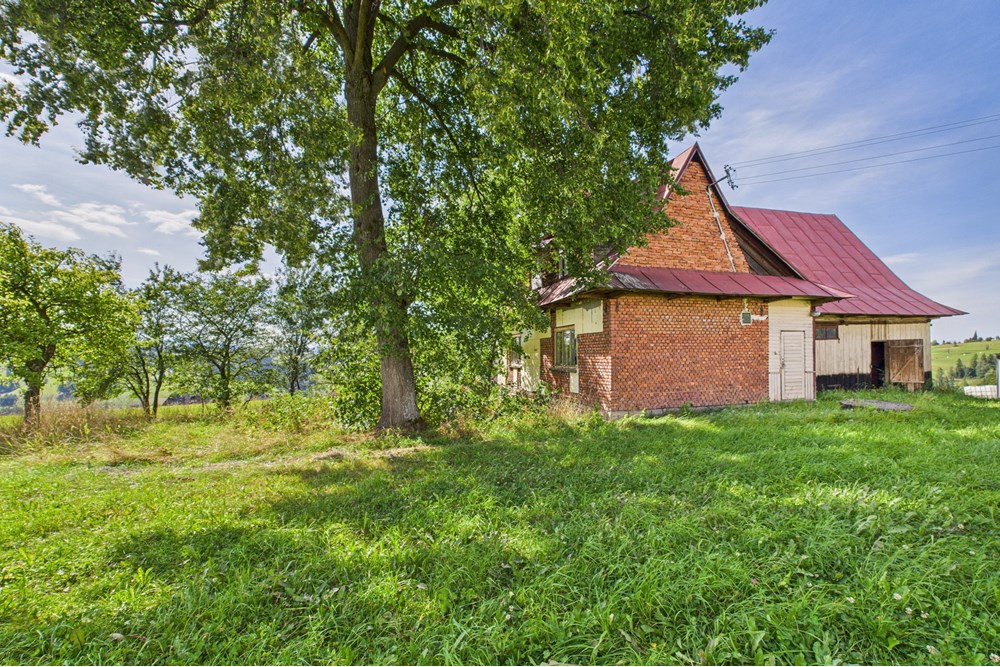 Dom wolnostojący - Sprzedaż - Czerwienne, Polska - CAM05558G0-PR0017-STILL015.jpg - 470151024-447