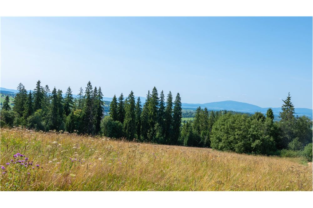 Nieruchomość gruntowa - Sprzedaż - Dzianisz, Polska - 39 - 800061116-23