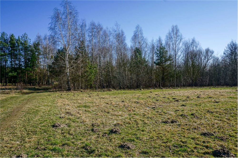 Działka budowlana - Sprzedaż - Musuły, Polska - 18 - 810141002-655