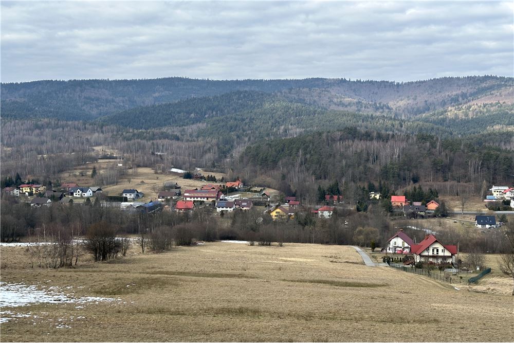 Działka budowlana - Sprzedaż - Las, Polska - 6 - 800061103-198