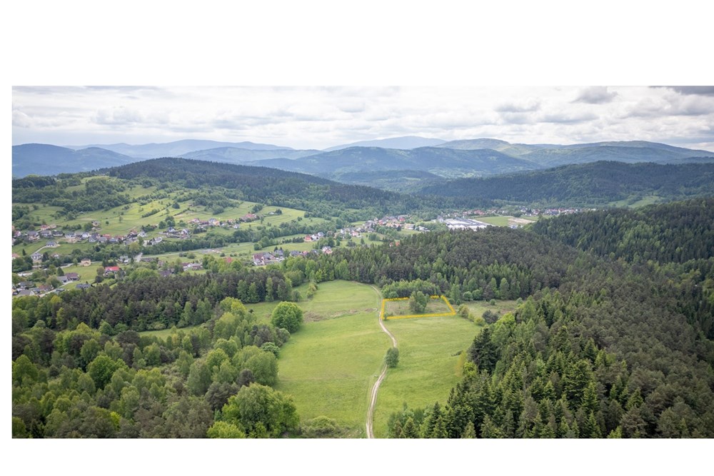 Działka - Sprzedaż - Krzeszów, Polska - Działka 149.000 5.jpg - 470131112-3