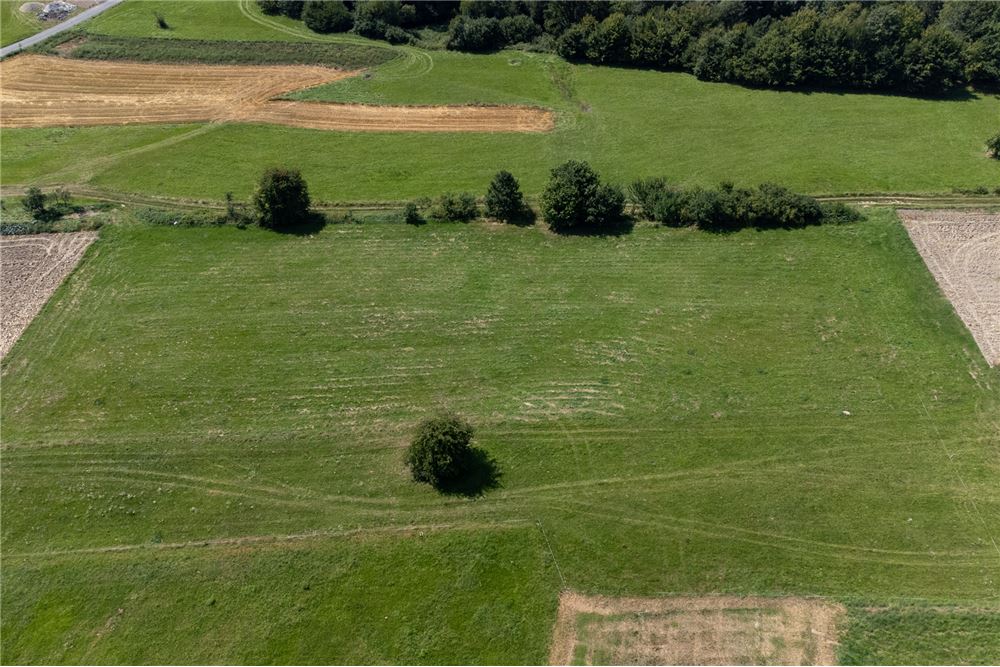 Działka budowlana - Sprzedaż - Młynne, Polska - 34 - 800061103-178