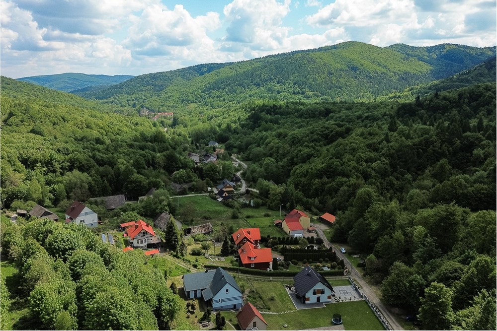 Rezydencja/Willa/Dworek - Sprzedaż - Ponikiew, Polska - IMG_1314.jpeg - 800061126-8