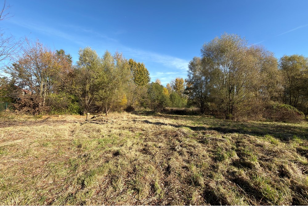 Działka budowlana - Sprzedaż - Słomniki, Polska - IMG_5545.JPG - 800241049-15