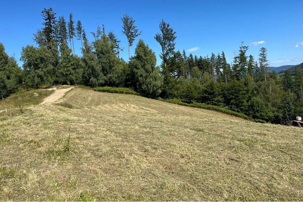 Działka - Sprzedaż - Wisła, Polska - jaworm2.jpg - 470131058-373