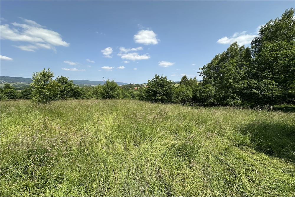 Działka budowlana - Sprzedaż - Rychwałd, Polska - 79 - 800061103-169