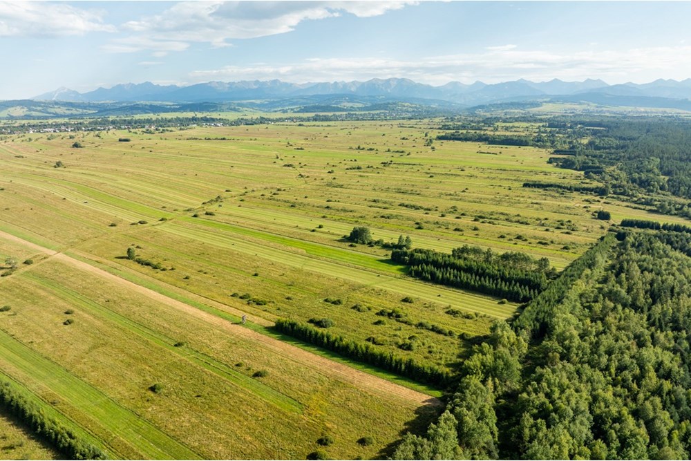 Nieruchomość gruntowa - Sprzedaż - Czarny Dunajec, Polska - 20250828-DJI_0163-HDR.jpg - 470151039-62
