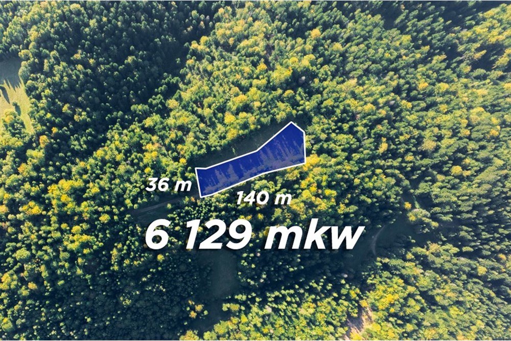 Działka - Sprzedaż - Harklowa, Polska - 20251004-DJI_0204-HDR.jpg - 470151024-458