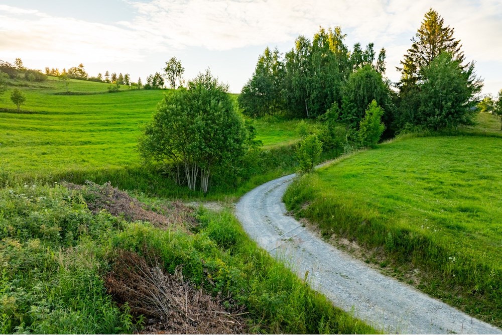 Działka budowlana - Sprzedaż - Pieniążkowice, Polska - DJI_0583-HDR-27.jpg - 800091045-36