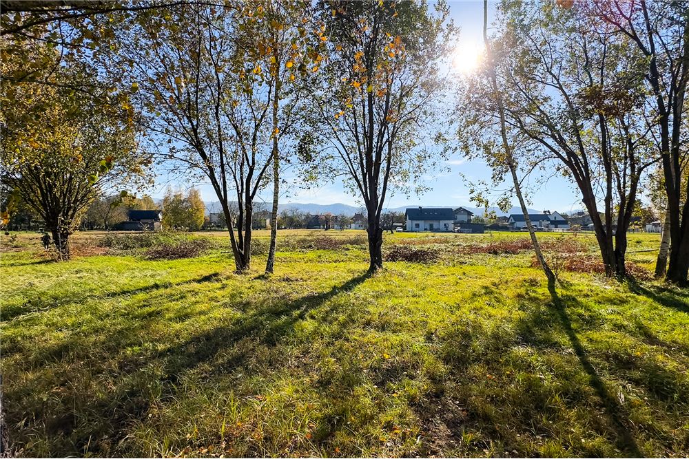 Działka budowlana - Sprzedaż - Jasienica, Polska - 33 - 800061103-173