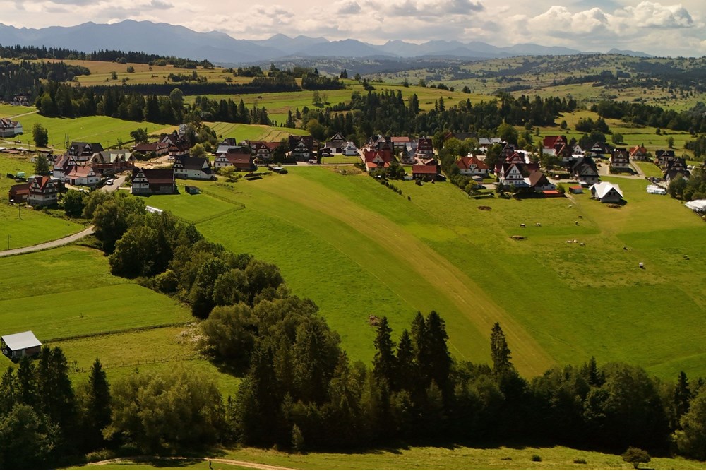 Działka - Sprzedaż - Leśnica, Polska - agent nieruchomosci zajac (4).jpg - 800091026-81