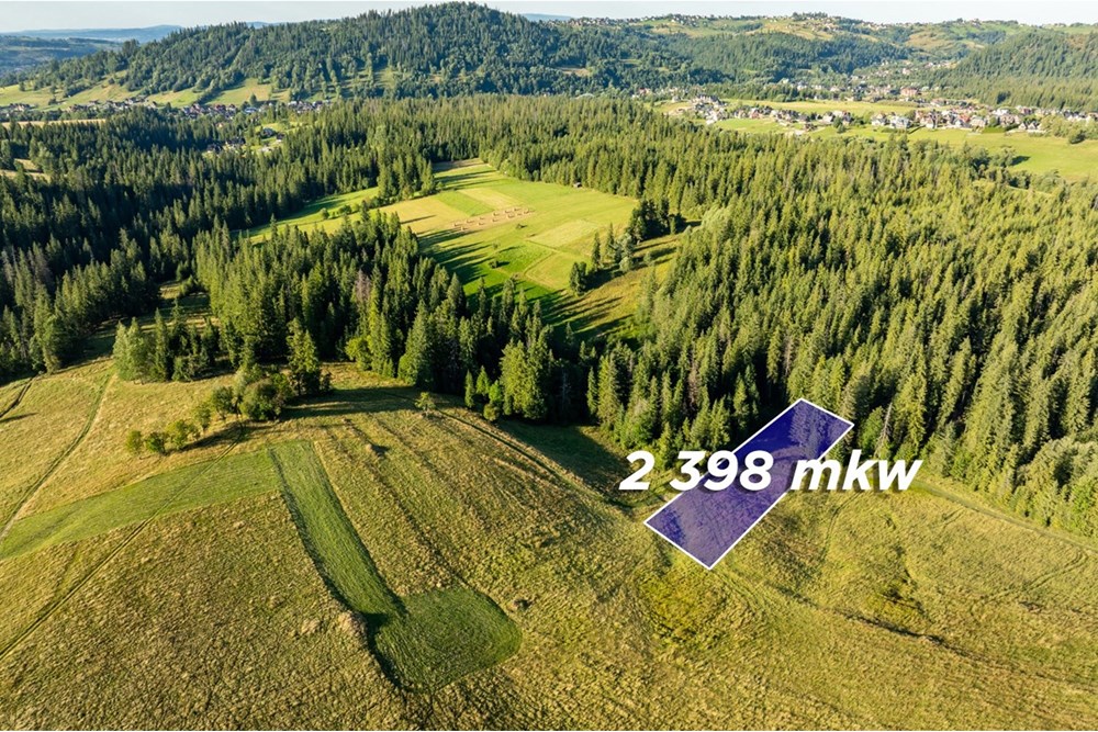 Działka - Sprzedaż - Zakopane, Polska - 6.jpg - 470151024-450