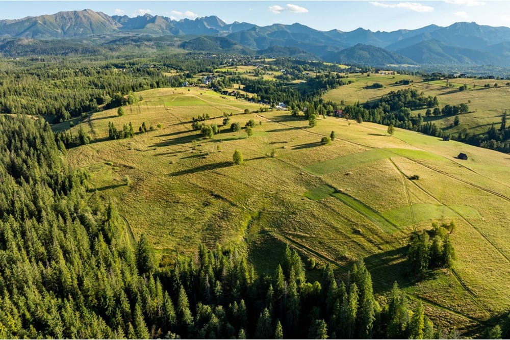 Działka - Sprzedaż - Zakopane, Polska - 20250826-DJI_0049-HDR.jpg - 470151024-450