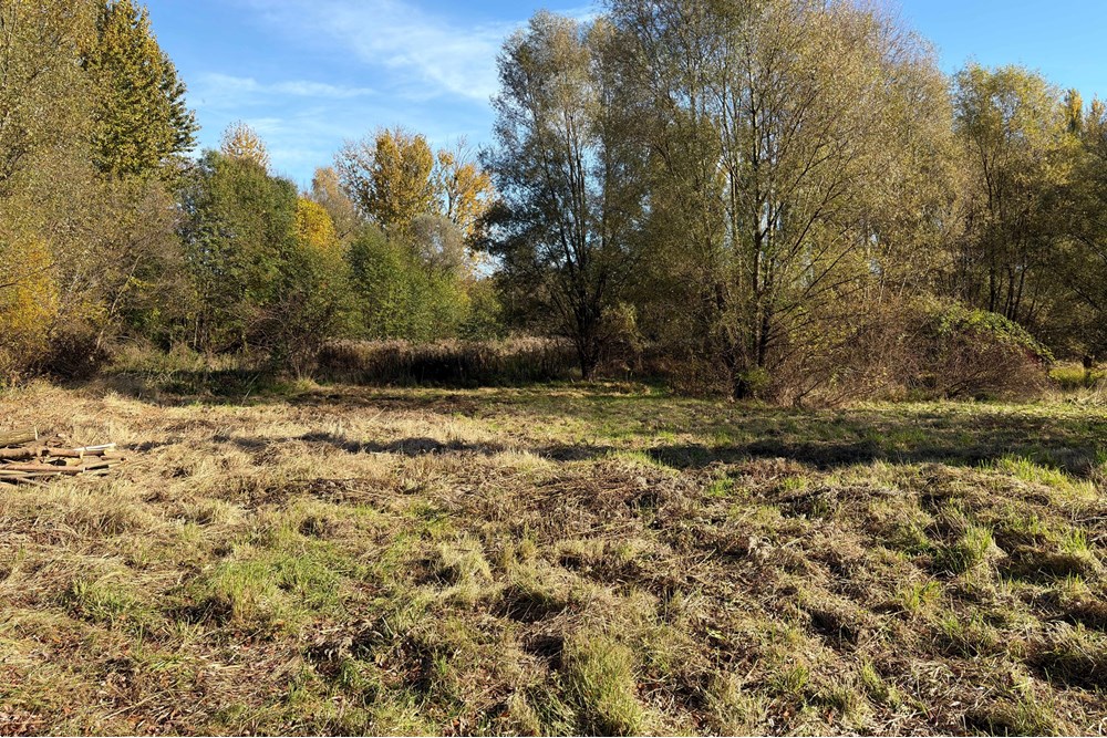 Działka budowlana - Sprzedaż - Słomniki, Polska - Untitled.jpg - 800241049-15