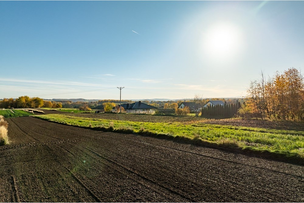 Działka budowlana - Sprzedaż - Trąbki, Polska - 20251031-DJI_0001-HDR.jpg - 800241005-219