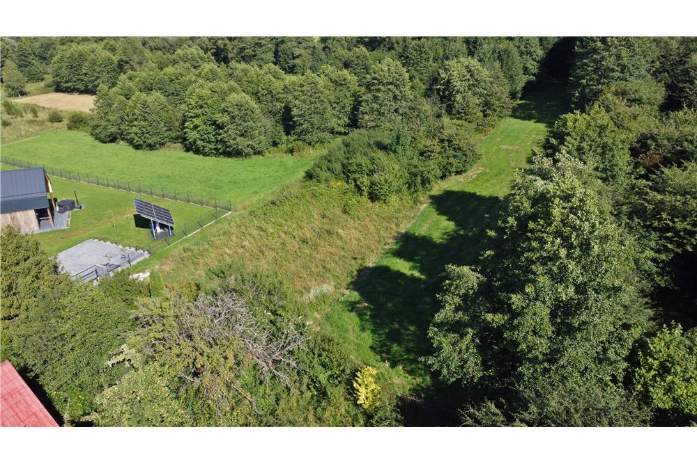 Działka - Sprzedaż - Radziechowy, Polska - 19 - 800061039-516