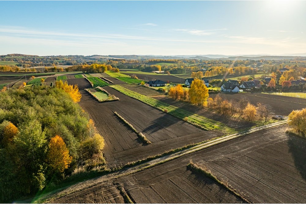 Działka budowlana - Sprzedaż - Trąbki, Polska - 20251031-DJI_0968-HDR.jpg - 800241005-219