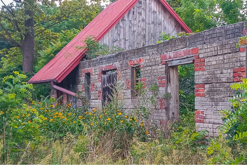 Działka - Sprzedaż - Grabostów, Polska - Dzialki-na-sprzedaz-4.jpg - 470191057-28