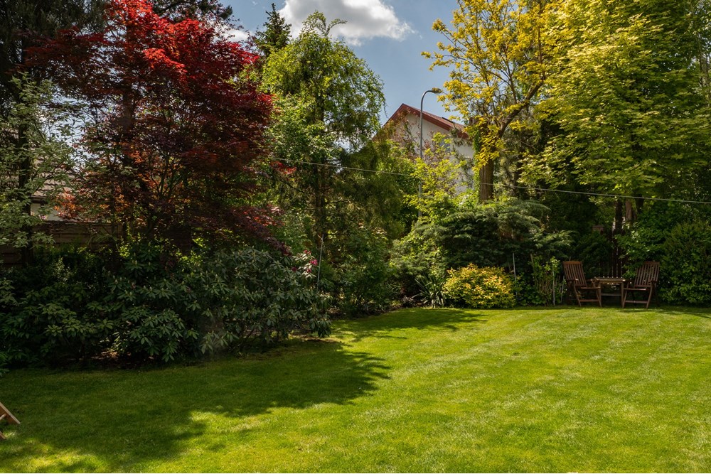 Dom wolnostojący - Sprzedaż - Nowa Iwiczna, Polska - DAW01675.jpg - 810131026-116