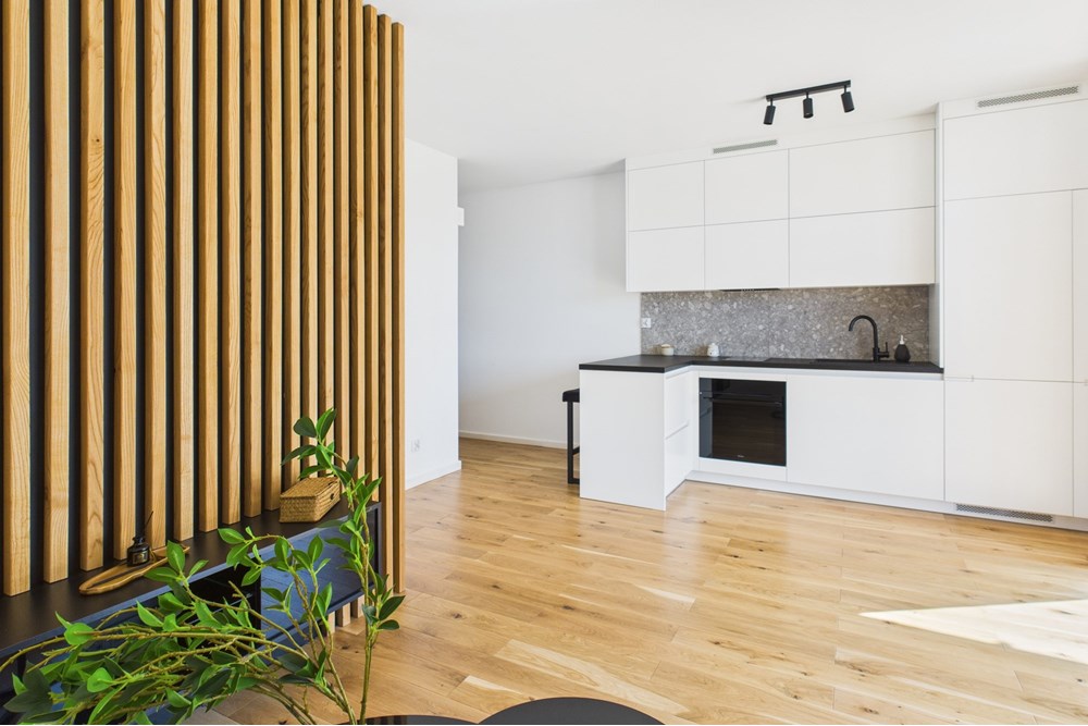 Mieszkanie - Sprzedaż - Kraków, Polska - CAM05554G0-PR0013-STILL011.jpg - 800241005-213