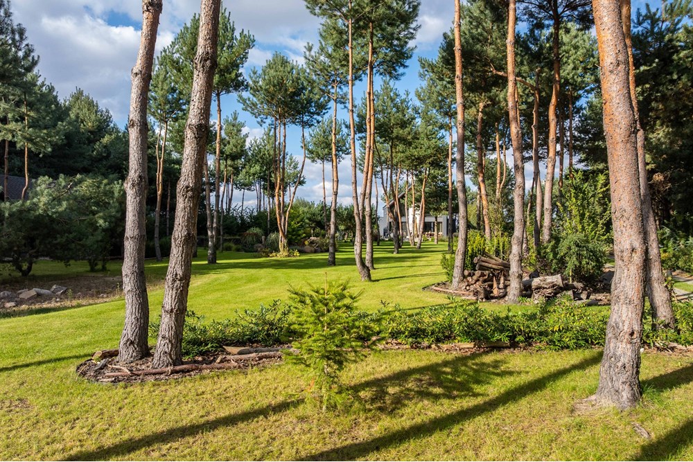 Dom wolnostojący - Sprzedaż - Wilkowyja, Polska - DJI_20251002152309_0551_D.jpg - 790121001-494