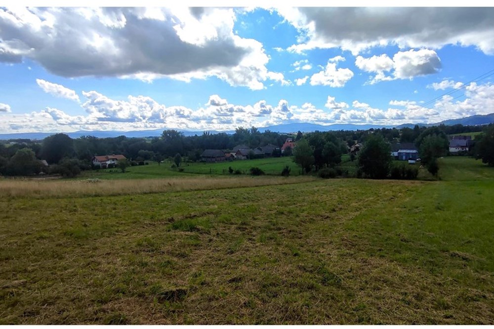 Działka - Sprzedaż - Lipowa, Polska - IMG_20250802_100841.jpg - 800061133-2