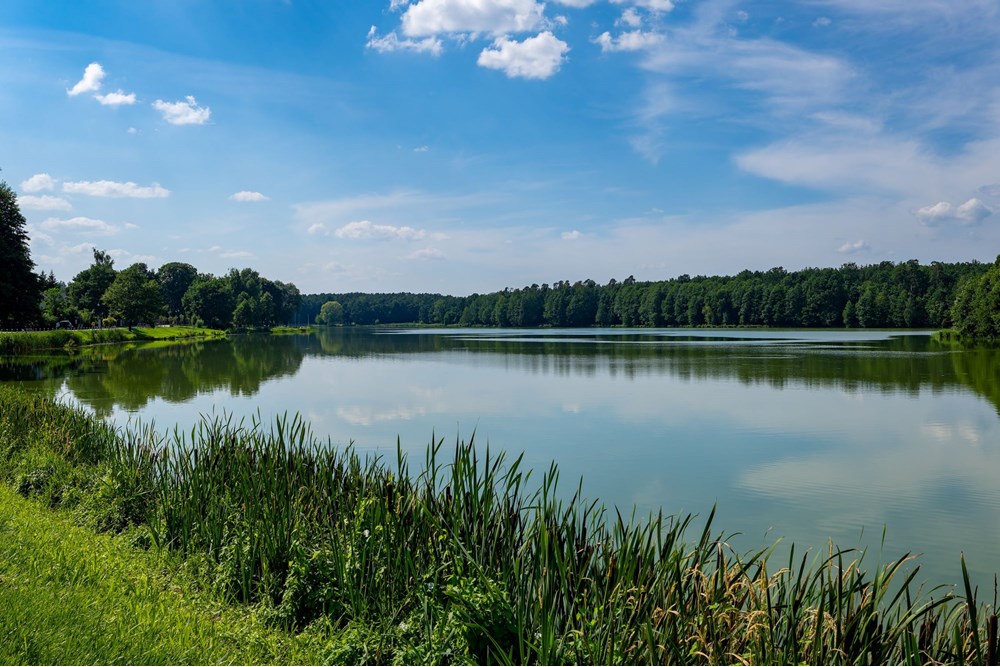 Dom wolnostojący - Sprzedaż - Jedlnia-Letnisko, Polska - JEDLNIA-122.jpg - 810251036-47