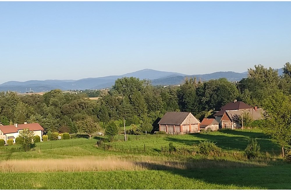 Działka - Sprzedaż - Lipowa, Polska - IMG_20250812_185155.jpg - 800061133-2