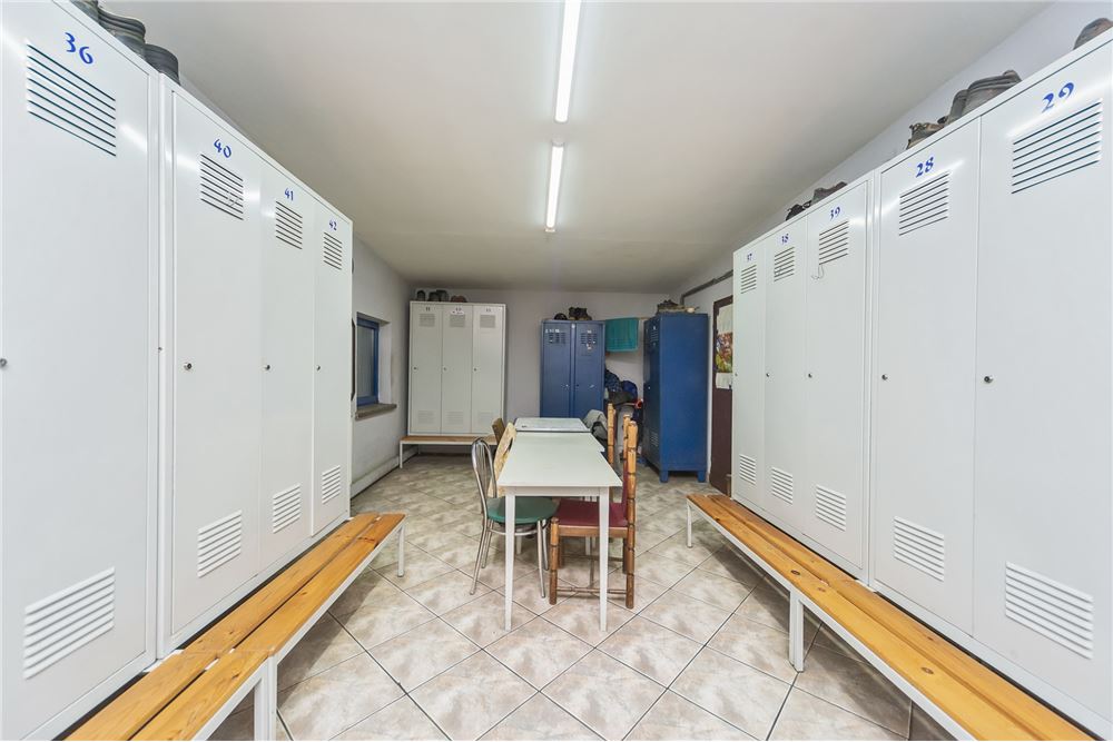 Hala - Sprzedaż - Bielsko-Biała, Polska - 17 - 800061076-394